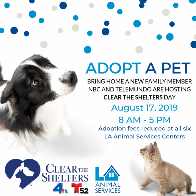 LA ANIMAL SERVICES: KITTEN ADOPTION FEES WAIVED & $20 DOG ADOPTIONS THIS  SATURDAY ONLY!